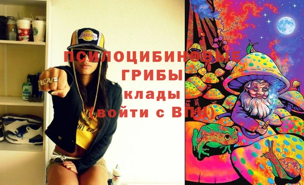 дживик Волосово