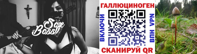 Галлюциногенные грибы GOLDEN TEACHER  Купить закладки  Куса 